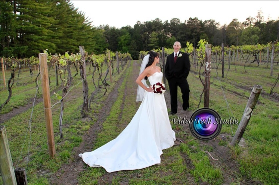 bride groom grape fields